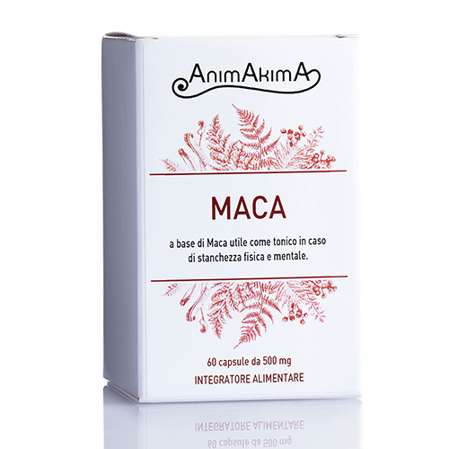 MACA