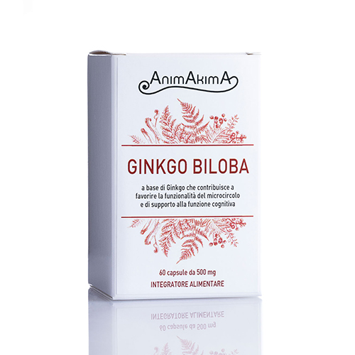 GINKGO BILOBA